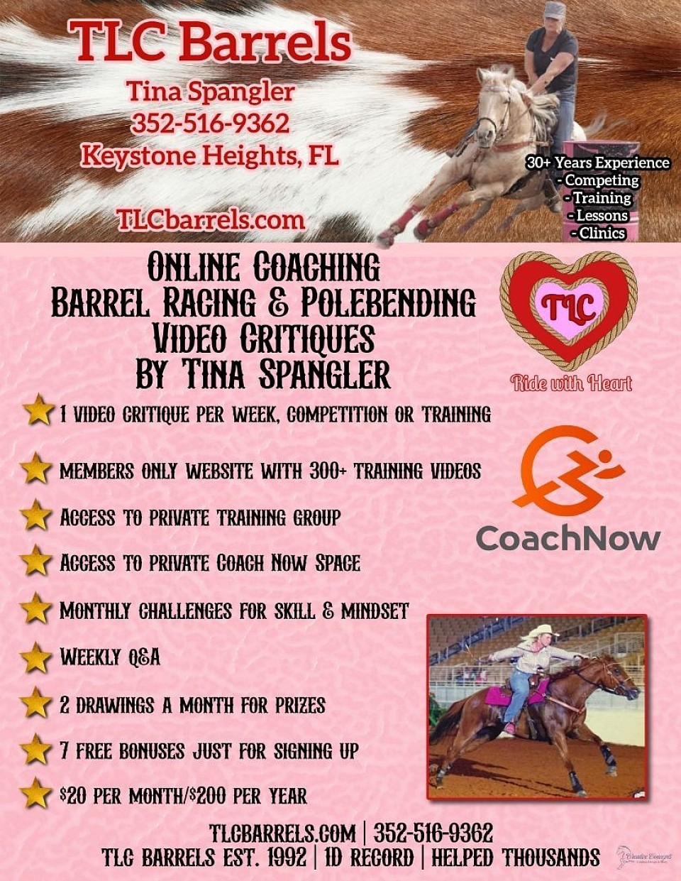 Online coaching